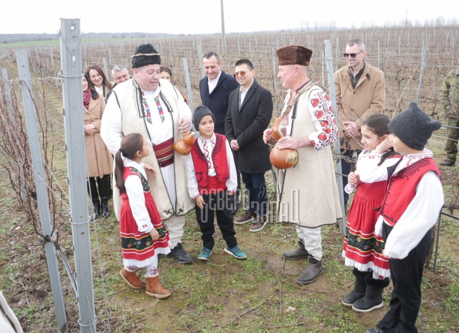 ���� ���� ���� ���������� ���������� ������ ������� ������