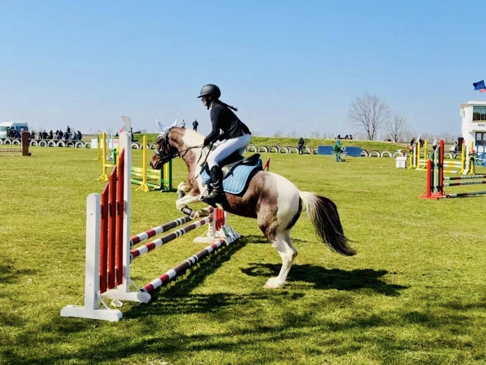 � ������������ ������� ���������� ���������� � ����� ������