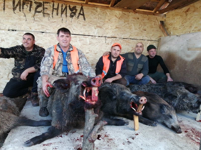 6 ������� �������� ���� ������ /������/