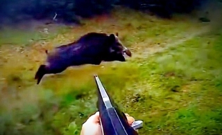 ����� �� ���������� �� ��������� ������� �� ���� ����� ���� ��������