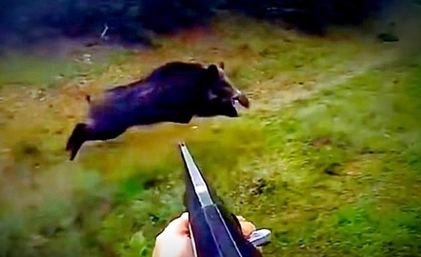 ����� �� ���������� �� ��������� ������� �� ���� ����� ���� ��������