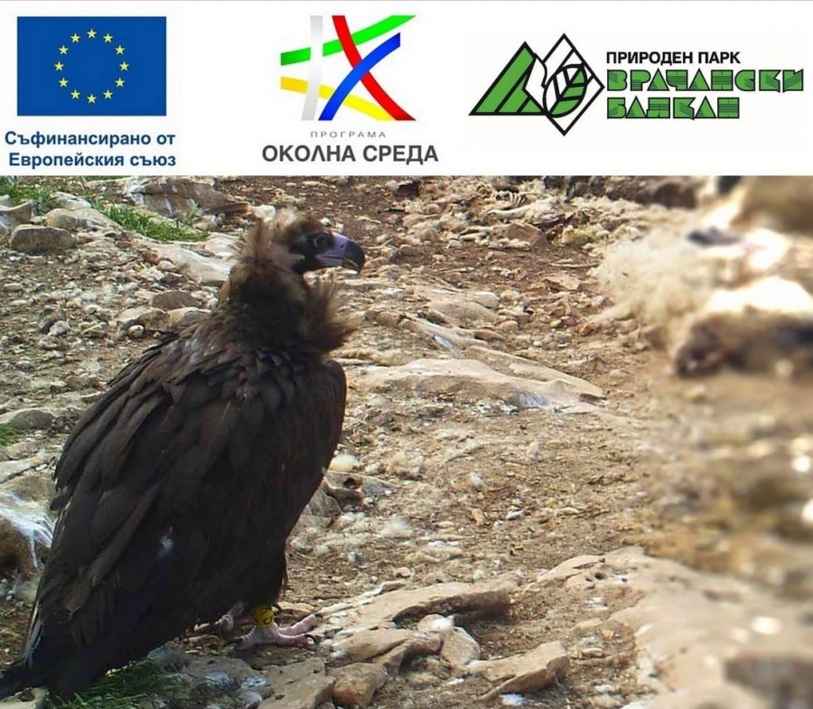 ��� ��������� ������ ���������� ������� �� ���������� �� ���������