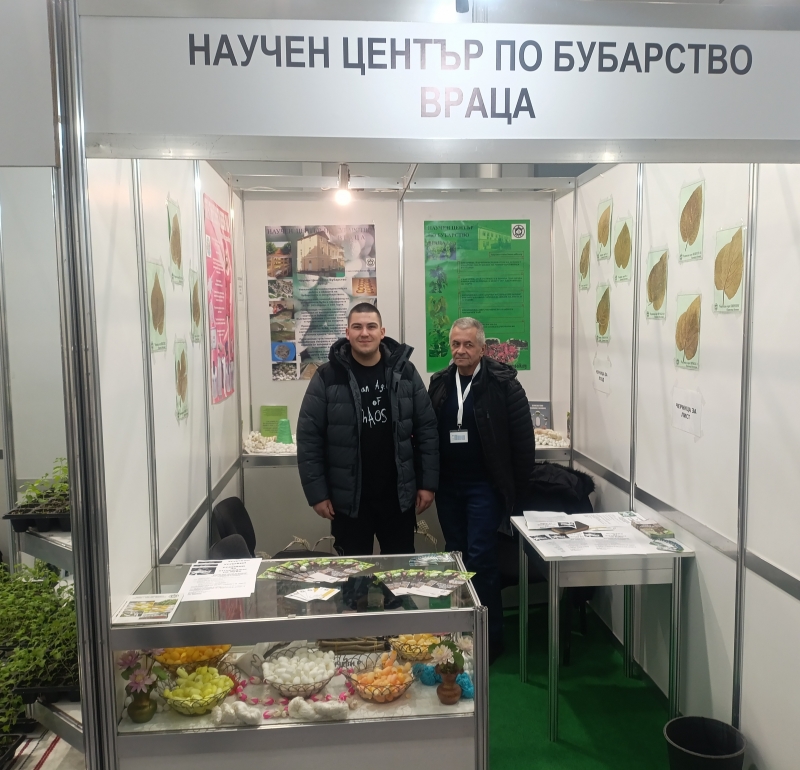 ������� �������� ��� �� ��������� ���� �� ��������� � �������