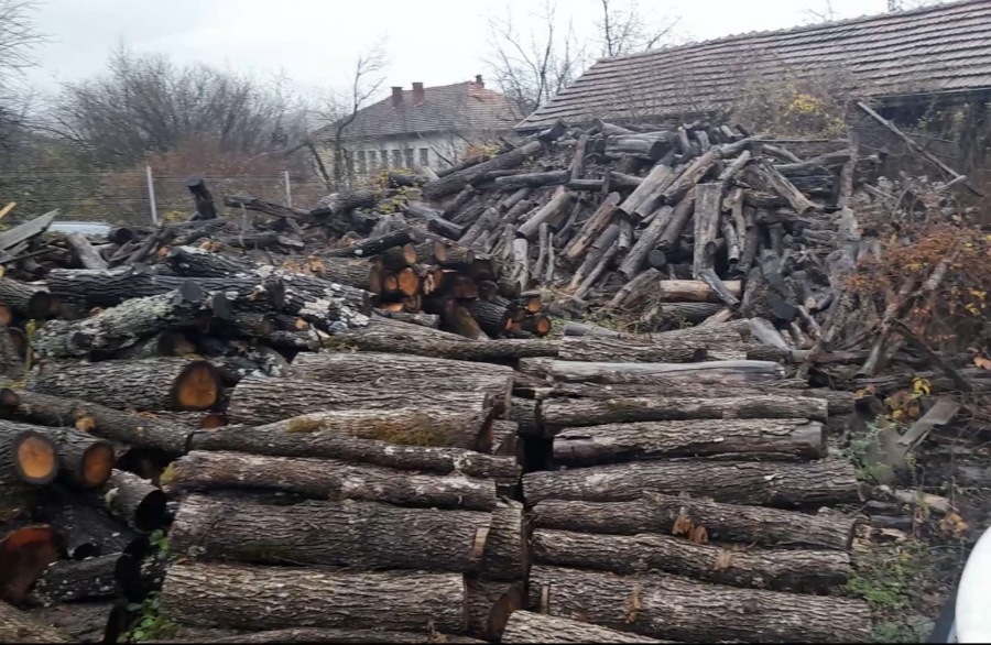 ������� ������� � �������� � ��������� ������ ����