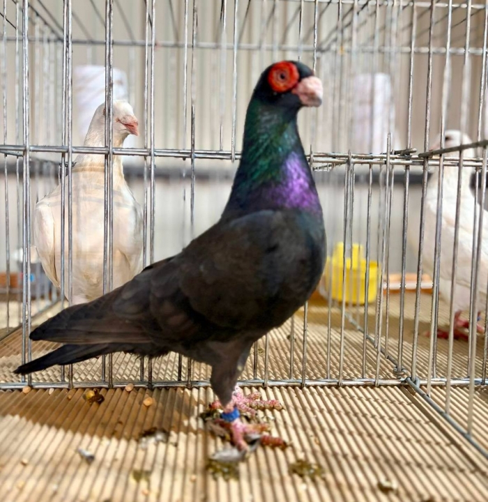  ������� ������� � ������� � �����