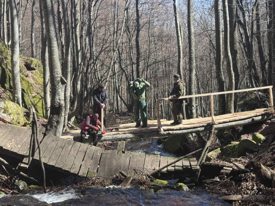 ������ ��������� ���� ��� ������� ������� ����