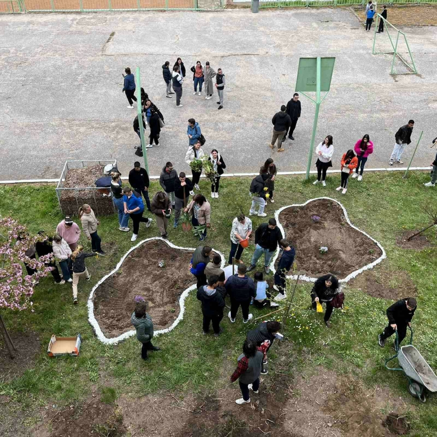 �������� �������� ���� �� ����� ���� �� ������ 