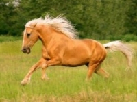 � ���� ����� ���������� ����������� �� ���� � �������