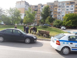 ����� ������������ ������������ ���� � ������