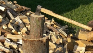 ������� �� �������� �� ������� �� ���������