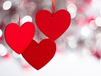 � ���� - ����� ����������� 