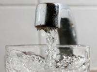 ���� �� ����� ��� ���� �� 14 ����