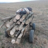 Горски стражари задържаха незаконно добити 4 кубика дърва за огрев и 4 каруци 