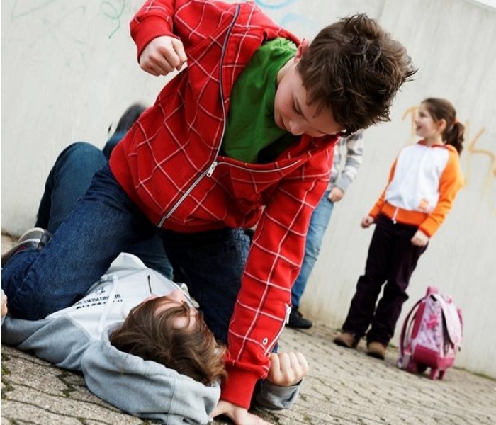 Пращат в интернат 13-годишното момче, пребило друго дете във Видин