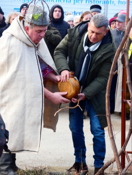Наградиха майстор винарите в Лом