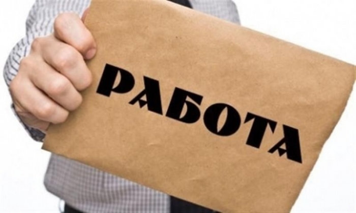 27 свободни работни места обявиха в Лом