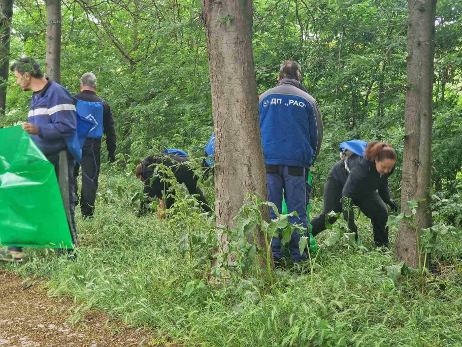 Служители на ДП РАО участваха за поредна година в кампанията
