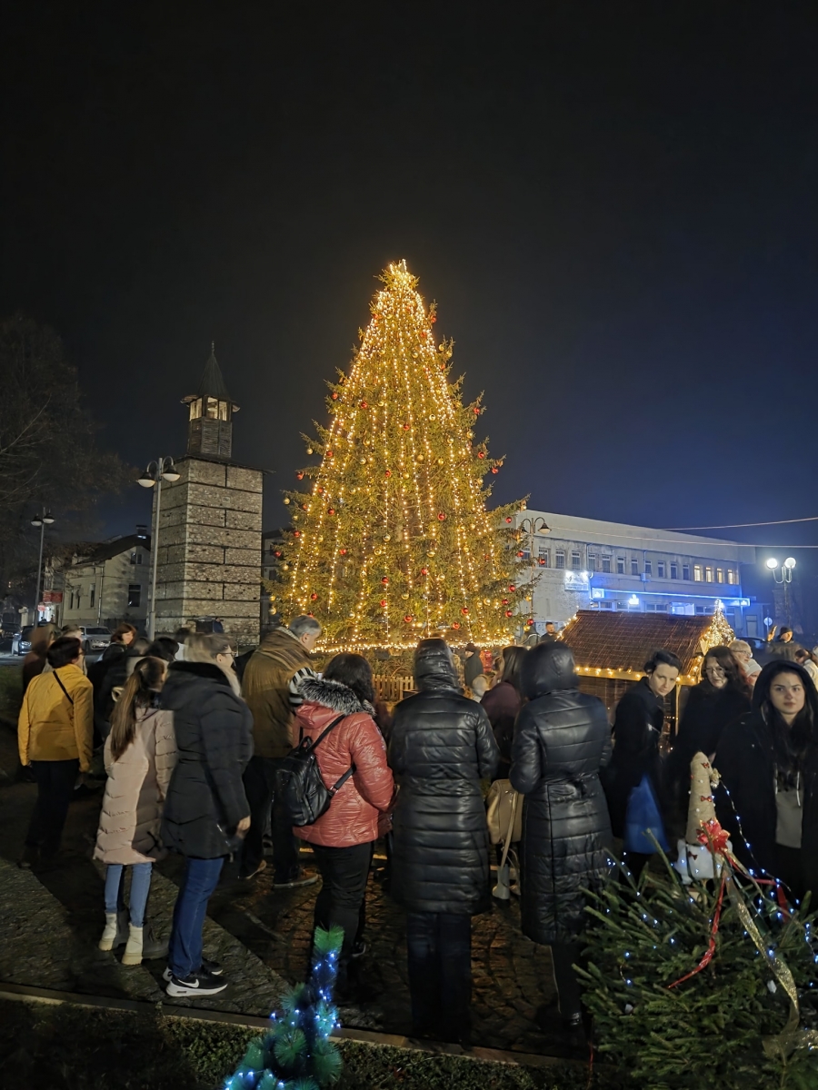 Грейна коледната елха в Берковица