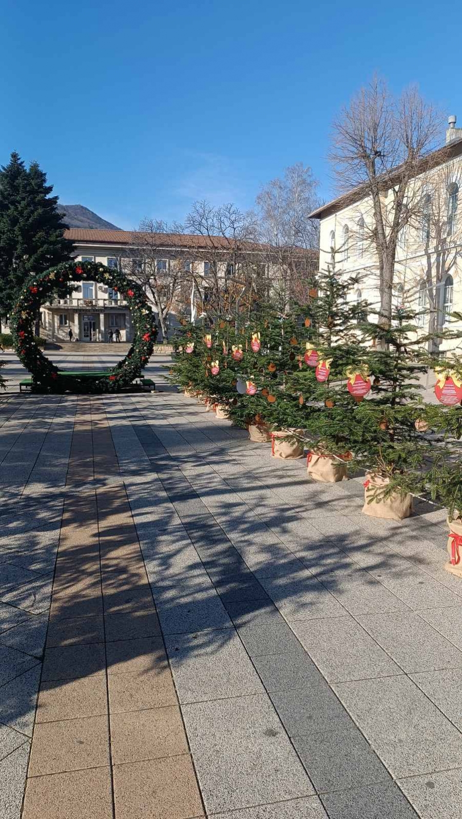 Училищата от Враца номинираха своите представители в инициативата на СЗДП