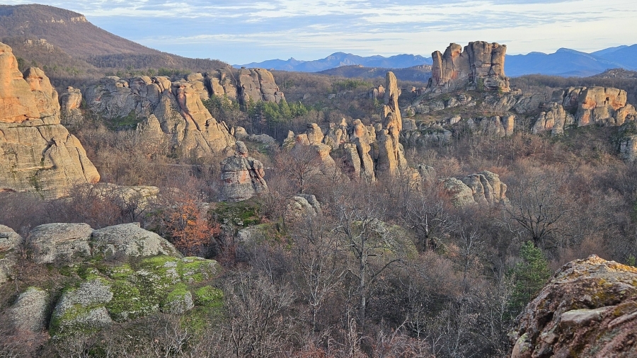 Започнаха създаването на пешеходен парк в Белоградчик