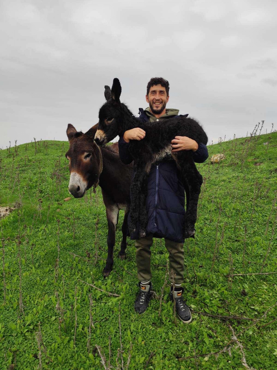 Открита ферма за магарета и коне запознава децата с животните и природата