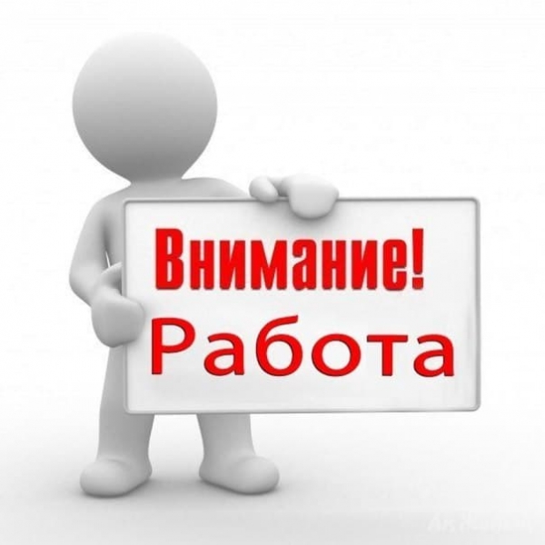 Обявиха близо 80 свободни работни места във Видинско