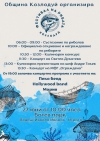 Топ готвач, състезания и концерти ви очакват на рибния фест в Козлодуй
