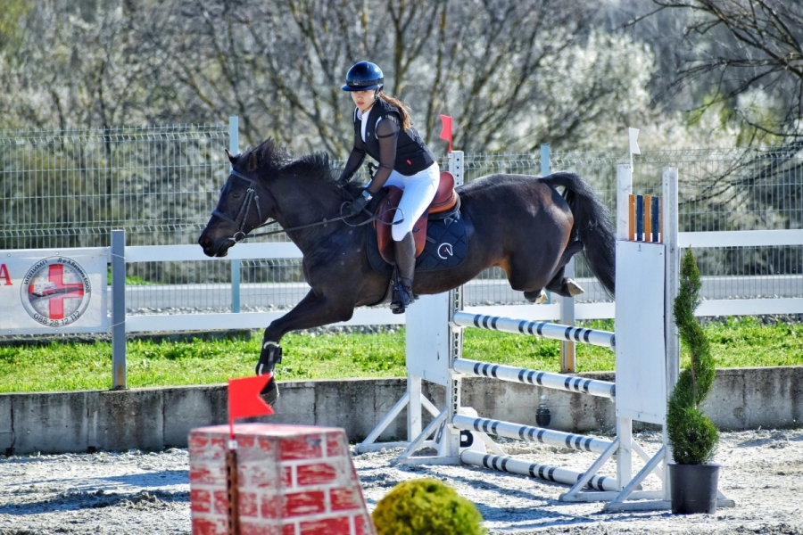 Млади таланти от Кнежа със силно представяне на конен турнир