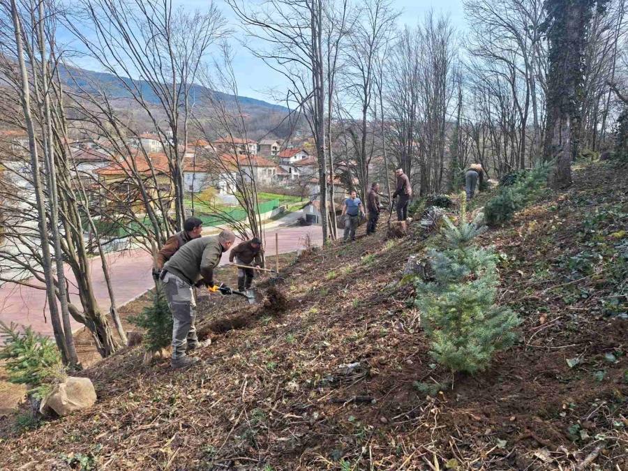 ТП ДЛС „Русалка“ организира инициатива в Априлци по повод Седмица на гората