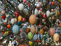 На Велики четвъртък украсяват Великденското дърво във Враца