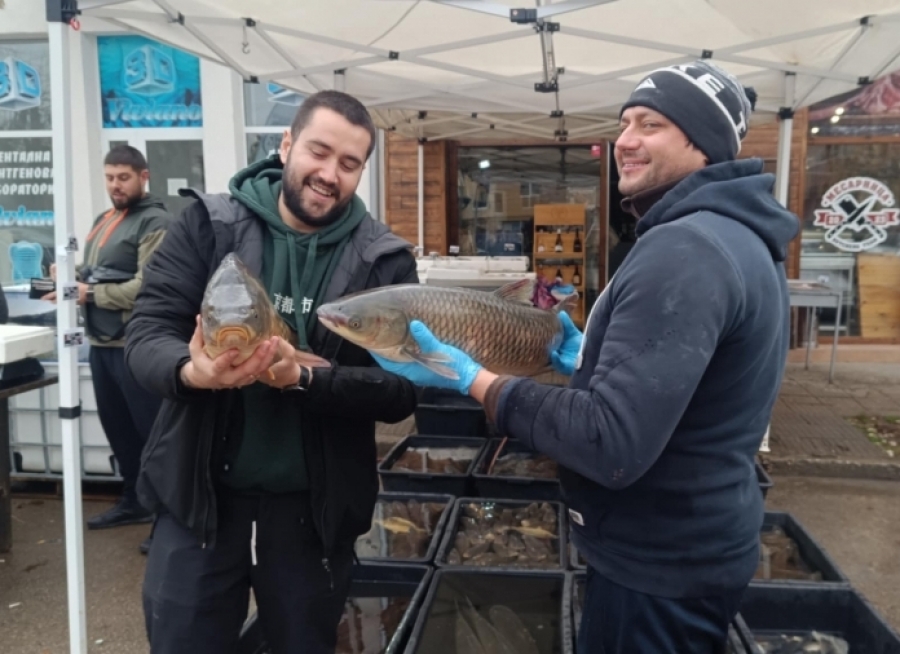 За Никулден! „Рибалка“ изкушава с жива риба на добри цени