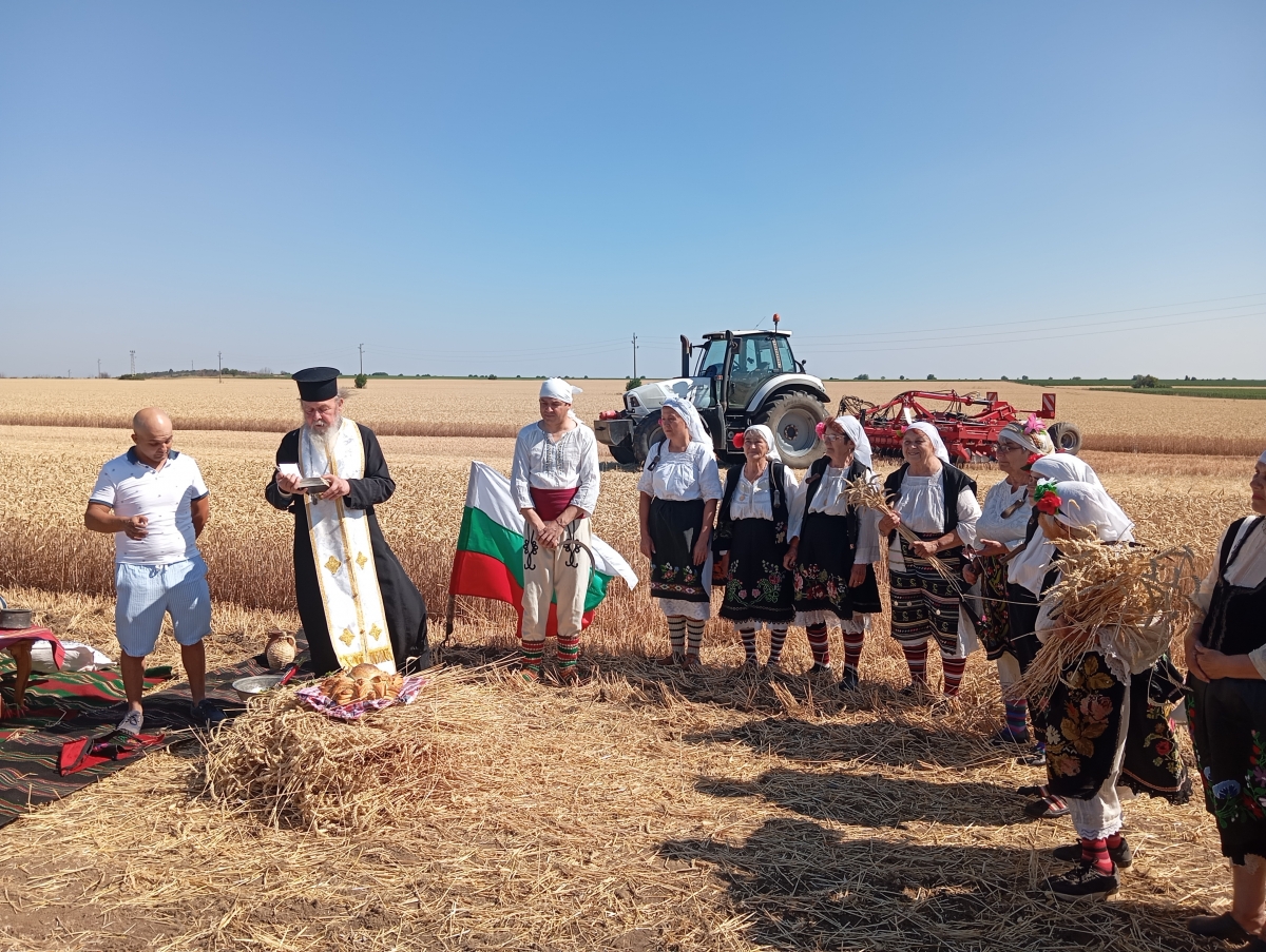 Стартира жътвата в област Монтана