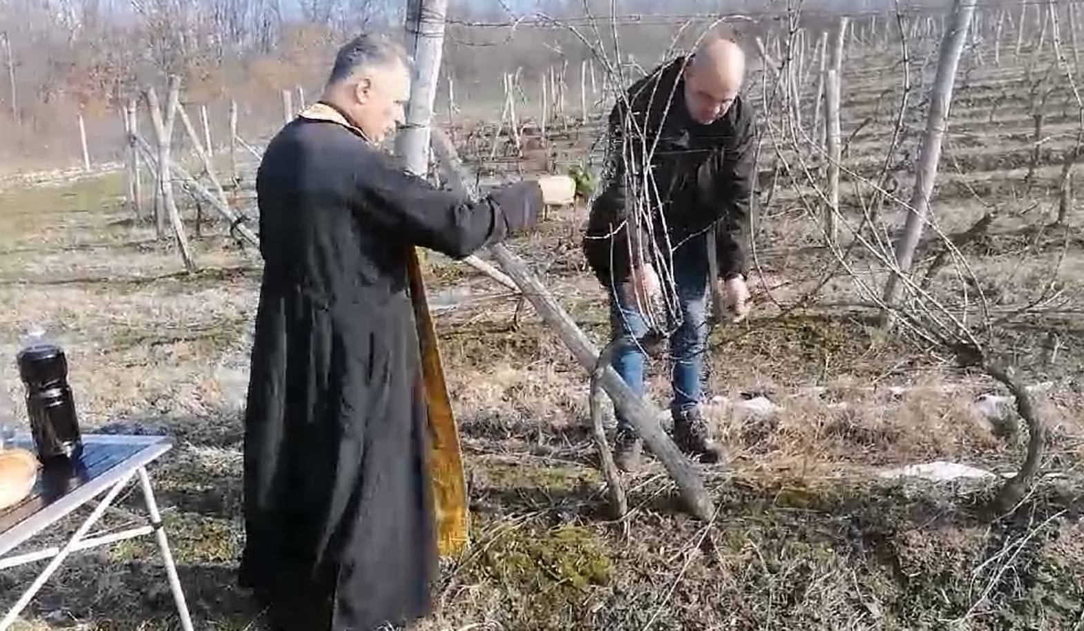 Зарязаха лозите в Руска Бела