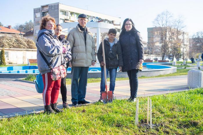 Дървото на живота Ginkgo biloba ще краси новата пешеходна алея в Мездра