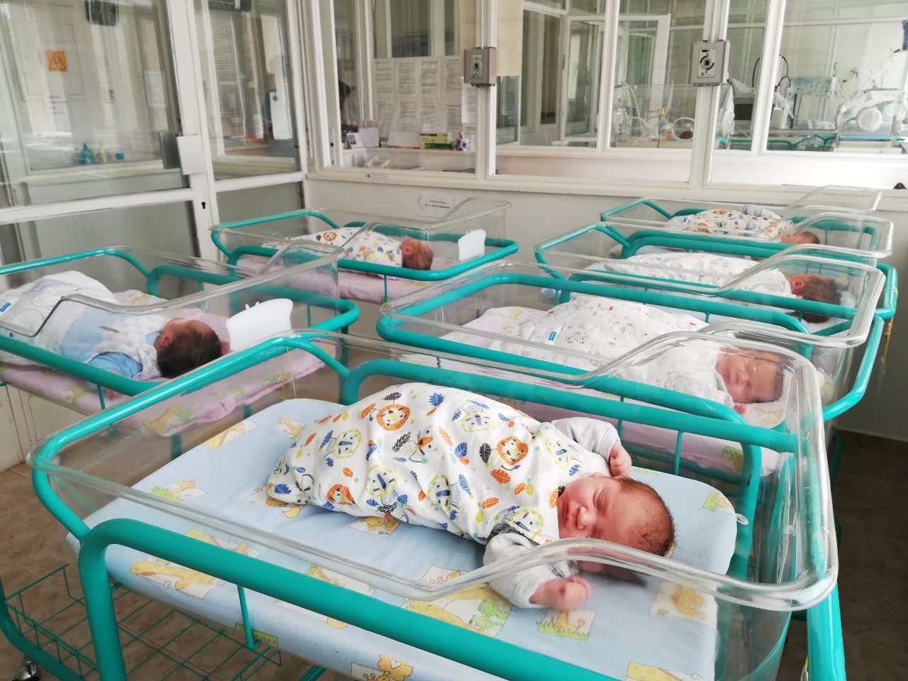 Над 60 бебета се родиха в мездренската болница